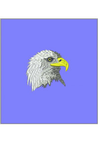 Msc002 - Eagle head